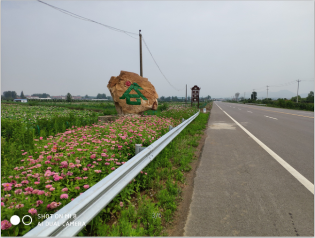 金農谷荷園即將開園啦